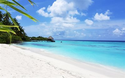oceano, ilha tropical, f&#233;rias, viagens, Maldivas