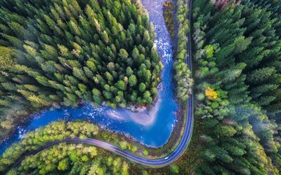forest, top view, river, highway, USA