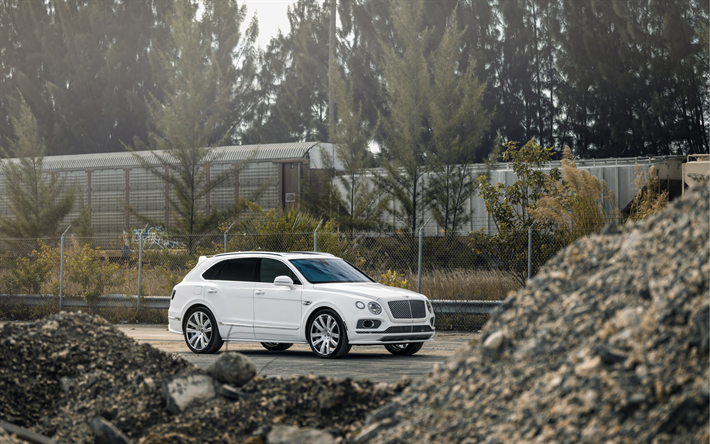 Bentley Bentayga, 2017, Vit Bentayga, VAG, vit SUV, Brittiska delningsfilter, lyx bilar, Bentley