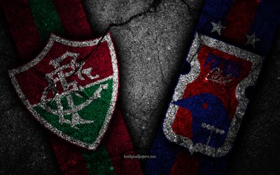 Fluminense vs Parana, Round 28, Serie A, Brazil, football, Fluminense FC, Parana FC, soccer, brazilian football club