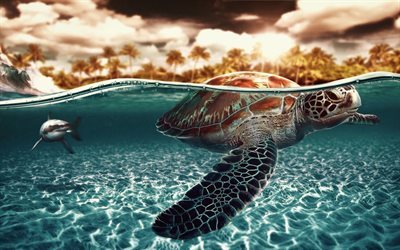 turtle, underwater, sea, shark, island, palm trees