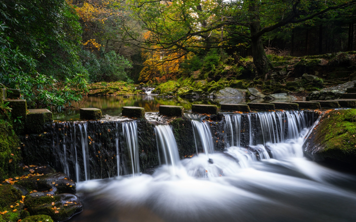 wasserfall, berg, fluss, wald, gr&#252;n, b&#228;ume, steine