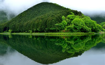 Lake Tanuki, mountains, forest, Fujinomiya, Japan, Asia