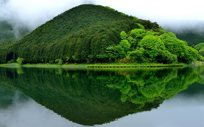 Tanuki g&#246;l, dağlar, orman, Fujinomiya, Japonya, Asya