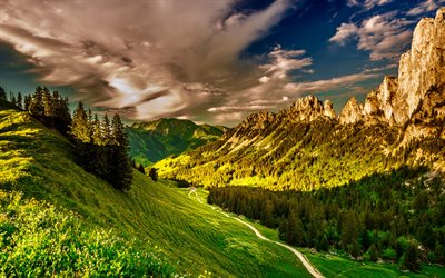 Schweiz, Europa, berg, Schweiziska Alperna, skogen, kv&#228;ll, Alperna