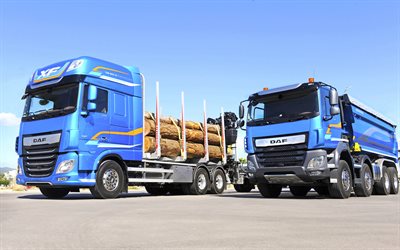 DAF XF, 4k, DAF CF, 2017 شاحنة, المهني الشاحنات, الأخشاب الناقل, DAF