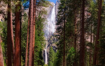 Yosemite vattenfall, rock, skogen, redwood, stenar, Yosemite National Park, Kalifornien, Usa