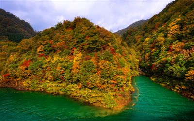 Tazawako, 4k, Lake Tazawa, autumn, forest, Asia, Japan