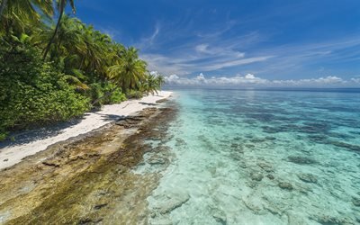coast, tropical island, summer, palm trees, ocean, beach, sand, Maldives