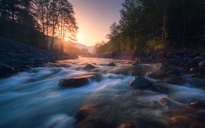 mountain river, sunset, forest, evening, stones, river, USA
