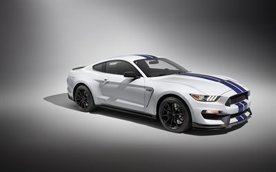 Ford Mustang GT350, 2017, valkoinen urheilu coupe, tuning, kilpa-auto, Mustang Shelby