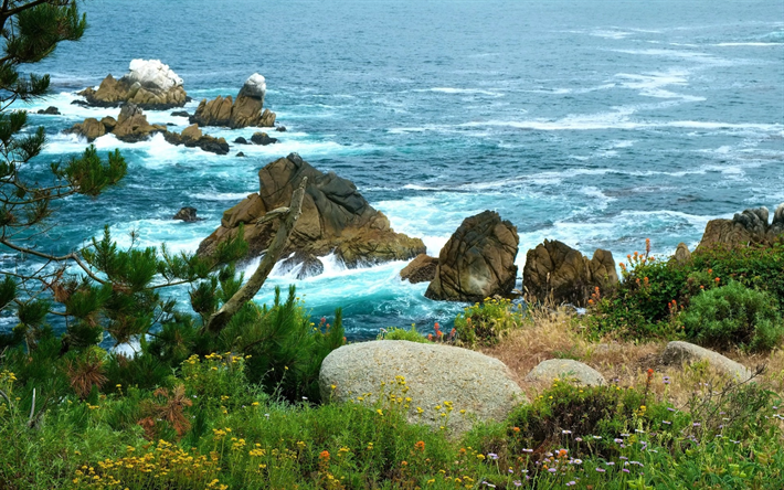ocean, coast, waves, rocks, seascape