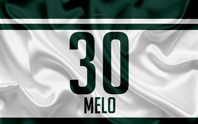 Felipe Melo, T-shirt, Palmeiras, 30th number, Eduardo Pereira Rodrigues, Serie A, Sao Paulo, Brazil, football, Sociedade Esportiva Palmeiras, Melo