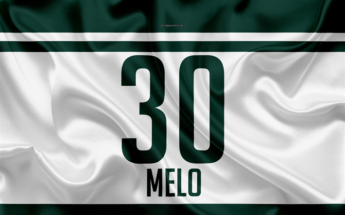 Felipe Melo, T-shirt, Palmer, 30 antal, Eduardo Pereira Rodrigues, Serie A, Sao Paulo, Brasilien, fotboll, Sociedade Esportiva Palmeiras, Melo