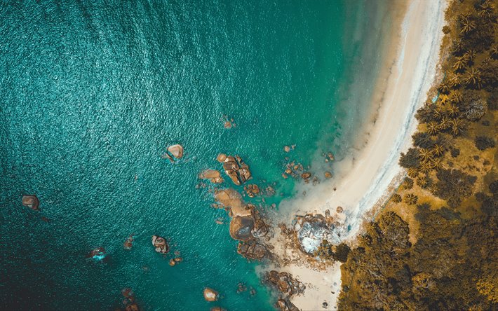 kusten, flygfoto, 4K, ocean, palmer, tropiska &#246;n, sommar