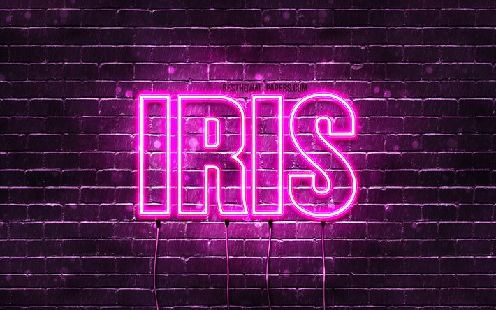 Iris, 4k, fondos de pantalla con los nombres, los nombres femeninos, Iris nombre, p&#250;rpura luces de ne&#243;n, el texto horizontal, imagen con el nombre Iris