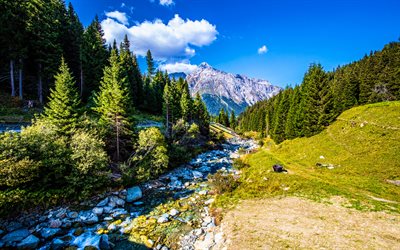 Svizzera, 4K, montagne, Alpi, ruscello, bellissima natura, Europa, natura svizzera, foresta