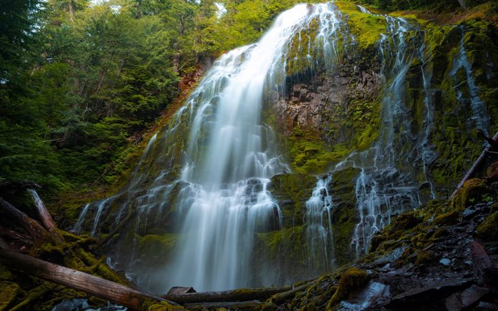 beautiful waterfall, rocks, jungle, waterfalls, forest, USA