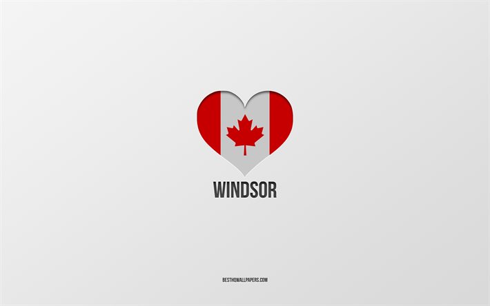 Windsor&#39;u seviyorum, Kanada şehirleri, gri arka plan, Windsor, Kanada, Kanada bayrağı kalp, favori şehirler, Windsor seviyorum