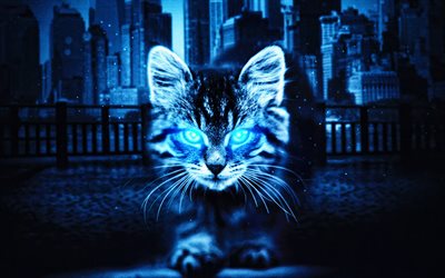 abstract cat, 4k, artwork, blue eyes, pets, darkness, abstract animals, cats