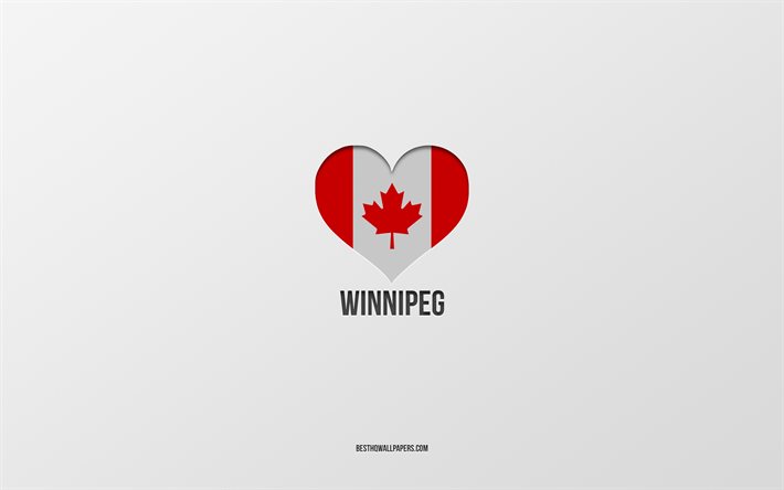I Love Winnipeg, cidades canadenses, fundo cinza, Winnipeg, Canad&#225;, bandeira canadense cora&#231;&#227;o, cidades favoritas, Love Winnipeg