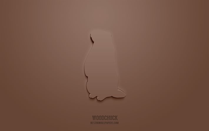 Woodchuck 3d icon, brown background, 3d symbols, Woodchuck, Animals icons, 3d icons, Woodchuck sign, Animals 3d icons