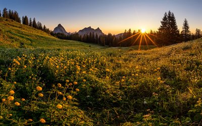 Switzerland, Alps, 4k, mountains, summer, meadow, sunset, beautiful nature, Europe