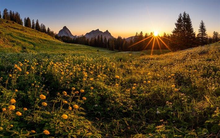 Suisse, Alpes, 4k, montagnes, &#233;t&#233;, pr&#233;, coucher de soleil, belle nature, Europe