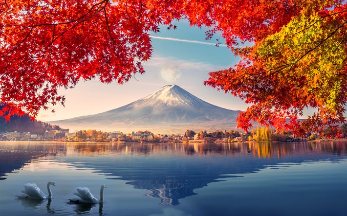 Monte Fuji, 4k, due cigni, autunno, stratovulcano, HDR, Fujisan, Fujiyama, montagne, Asia, punti di riferimento giapponesi, Giappone