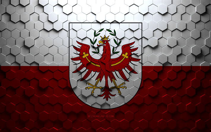 Drapeau du Tyrol, art en nid d&#39;abeille, drapeau des hexagones du Tyrol, Tyrol, art des hexagones 3d, drapeau du Tyrol
