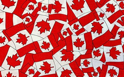 kanadensiska flaggor mönster, flagga Kanada, bakgrund med kanadensiska flaggor, Kanada, flaggor mönster