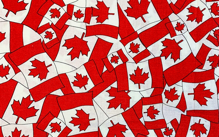 modello di bandiere canadesi, bandiera del Canada, sfondo con bandiere canadesi, Canada, modelli di bandiere