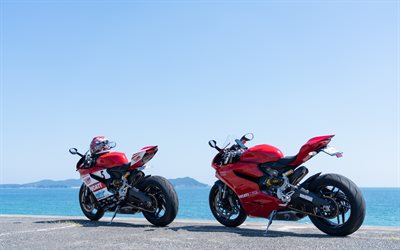 ducati 899 panigale, rückansicht, exterieur, rotes sportmotorrad, neue rote 899 panigale, italienische superbikes, ducati