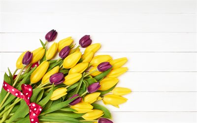 tulipani gialli, viola, tulipano, bouquet di tulipani, bellissimi fiori di primavera, Marzo 8, tulipani