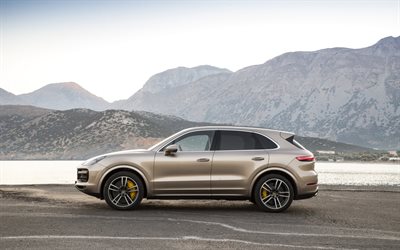 Porsche Cayenne, 2019, side view, exterior, new beige Cayenne, German cars, luxury crossover, Porsche