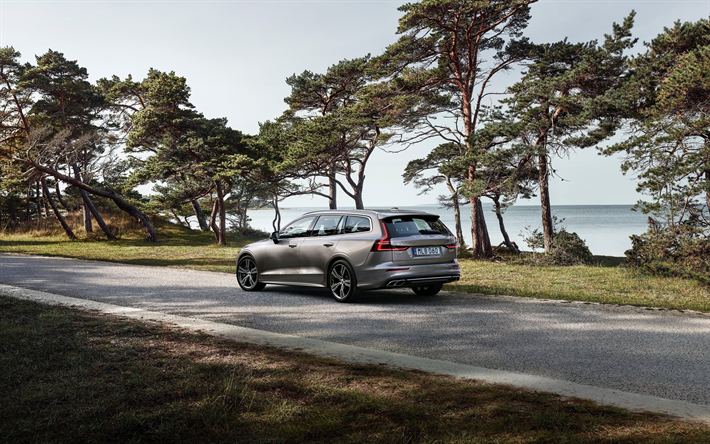 Volvo V60, 2018, estate, 4k, la nuova V60 grigio, vista posteriore, esterno, auto svedese Volvo
