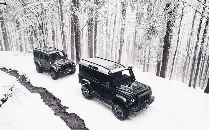 Land Rover Defender 110, winter, 2018 cars, Ares Design, offroad, tuning, SUVs, Land Rover