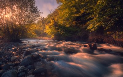 mountain river, morning, sunrise, forest, water, river