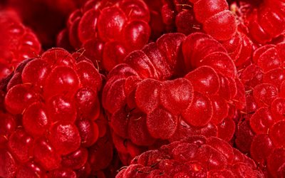 raspberries, macro, berries, food textures, fresh fruits, fresh berries