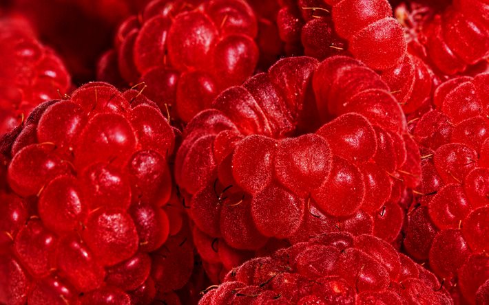 himbeeren, makro, beeren, lebensmittel, texturen, frische fr&#252;chte, frische beeren