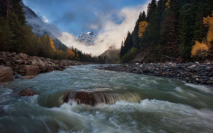 berg river, vacker skog, bergslandskapet, Dombay, Norra Kaukasus, Ryska Federationen