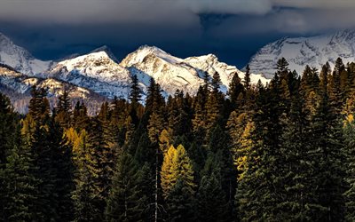 dağ manzarası, orman, yeşil ağa&#231;lar, g&#252;zel manzara, Kanada