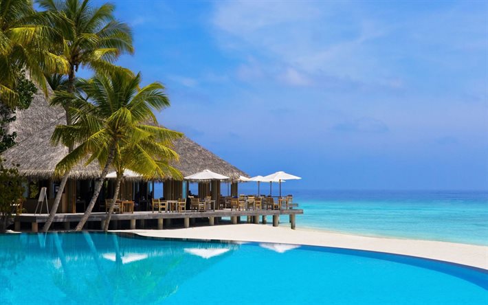 &#238;le tropicale, resort, Maldives, oc&#233;an, des palmiers, piscine