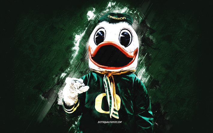 Oregon Duck, mascotte Oregon Ducks, sfondo pietra verde, NBA, basket, mascotte NBA