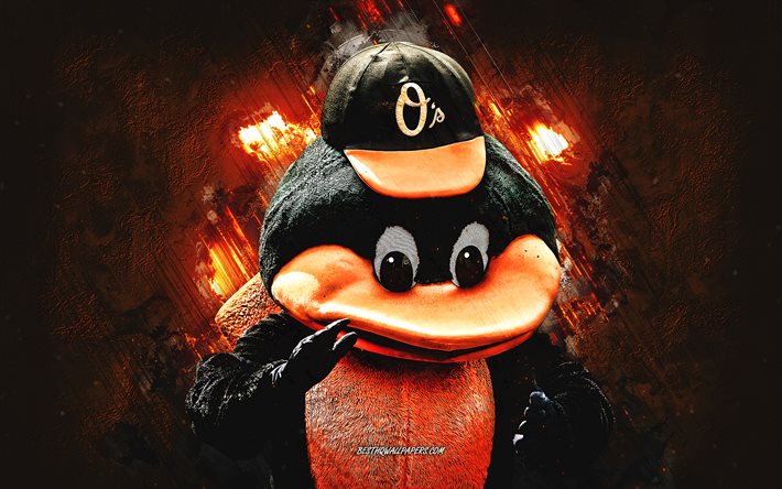 The Oriole Bird, mascotte dei Baltimore Orioles, NBA, sfondo di pietra arancione, basket, mascotte NBA, Baltimore Orioles