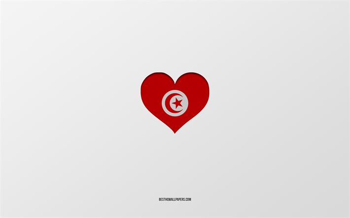 J'aime la Tunisie, les pays d'Afrique, la Tunisie, le fond gris, le coeur du drapeau de la Tunisie, le pays préféré, l'amour la Tunisie