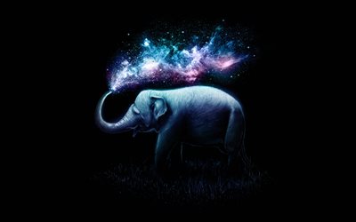 elefante astratto, 4k, minimal, sfondi neri, schizzi di vernice colorata, minimalismo elefante, elefanti