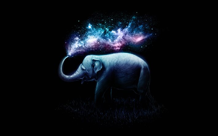 abstrakter elefant, 4k, minimal, schwarzer hintergrund, bunte farbspritzer, elefant-minimalismus, elefanten