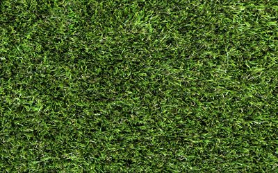 green grass texture, green grass lawn, grass texture, natural texture