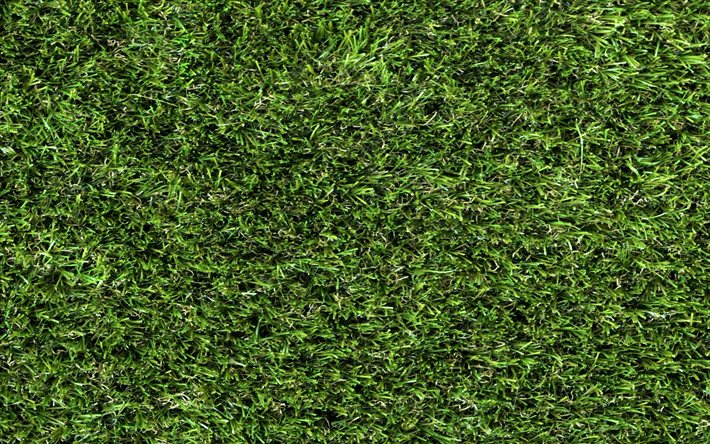 texture d&#39;herbe verte, pelouse d&#39;herbe verte, texture d&#39;herbe, texture naturelle